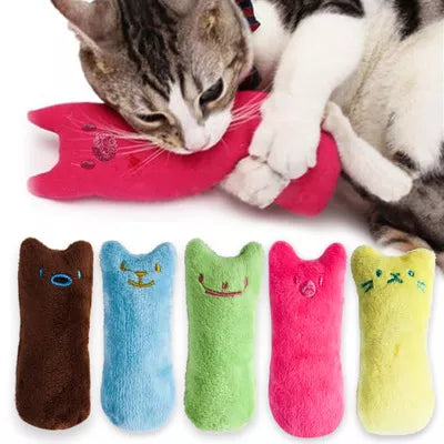 Catnip Plush Toys for Kitten / Cats (Assorted Colors)