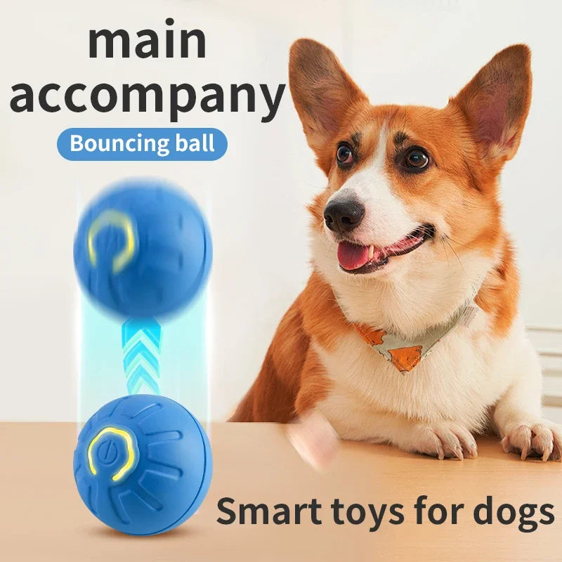 Smart Electronic Toy for Dogs (Assorted Colors)