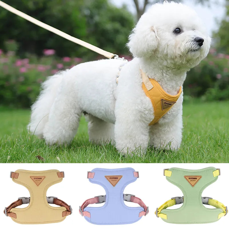 Harness and Leash Set for Small Dogs (Assorted Sizes and Colors)